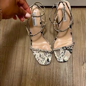 Snake skin style Steven Madden shoes
